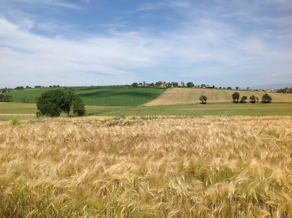 Farm stay Fattoria Le Giare Agriturismo Villa Cortona Italy