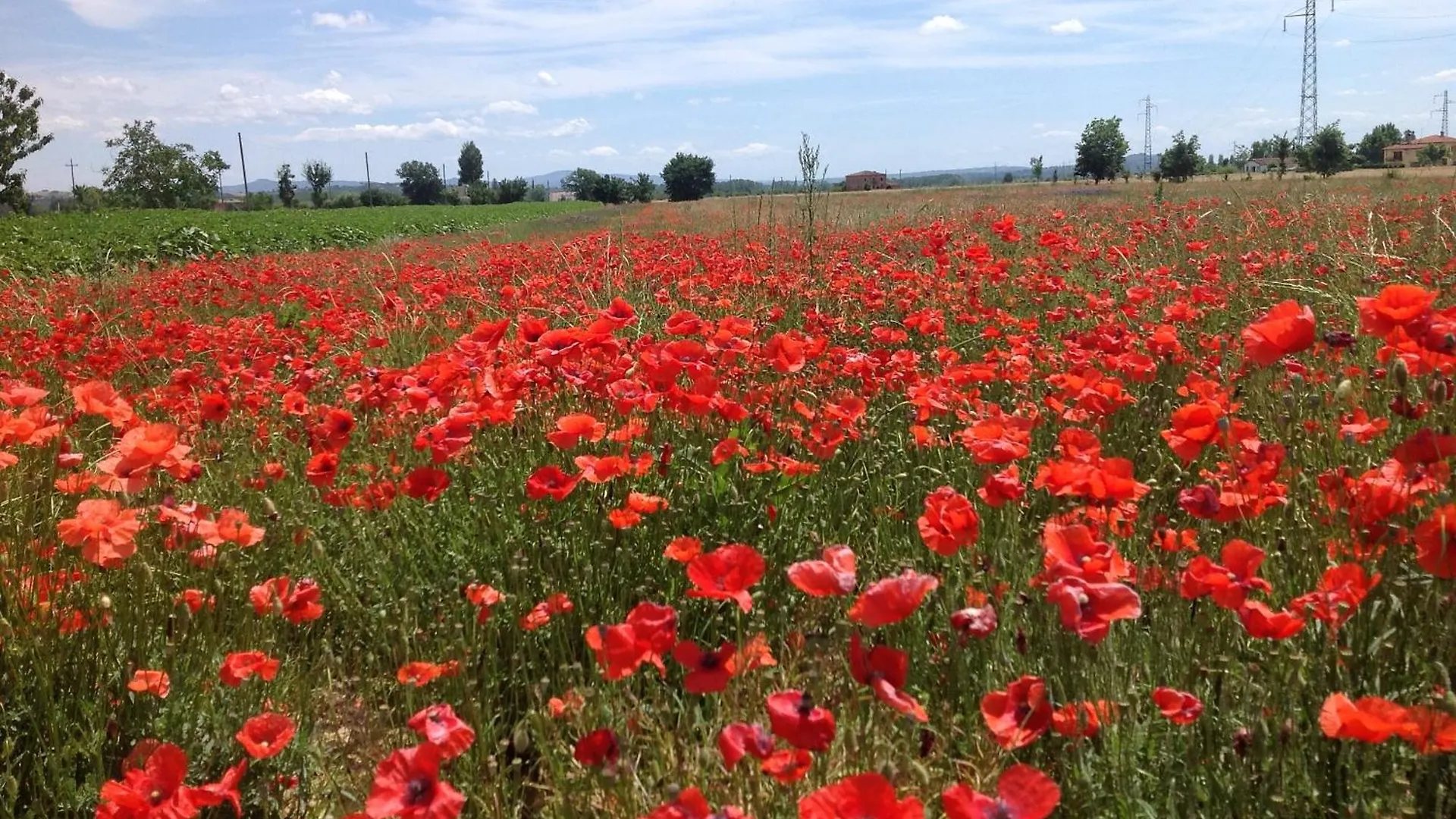 Fattoria Le Giare Agriturismo コルトーナ 0*,  イタリア