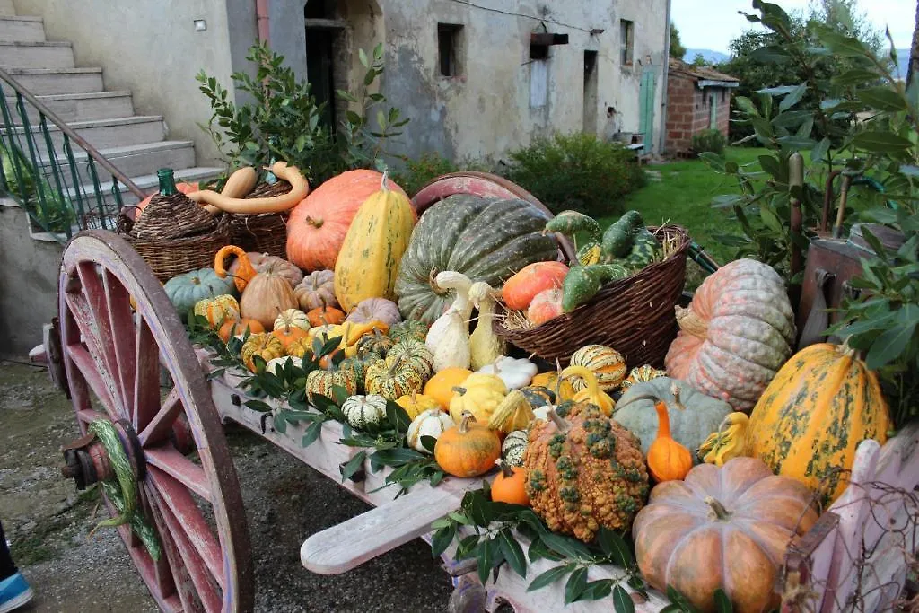 Fattoria Le Giare Agriturismo コルトーナ イタリア